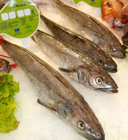 Морепродукты. Выбираем правильно.