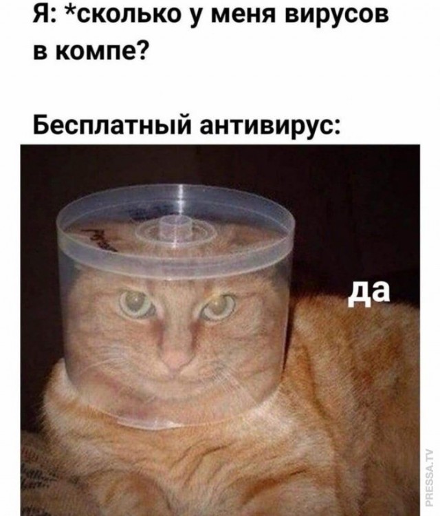 Картинки и мемы для настроения 07.10.2021