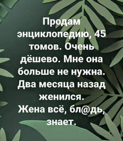 Юмор и прикольные картинки