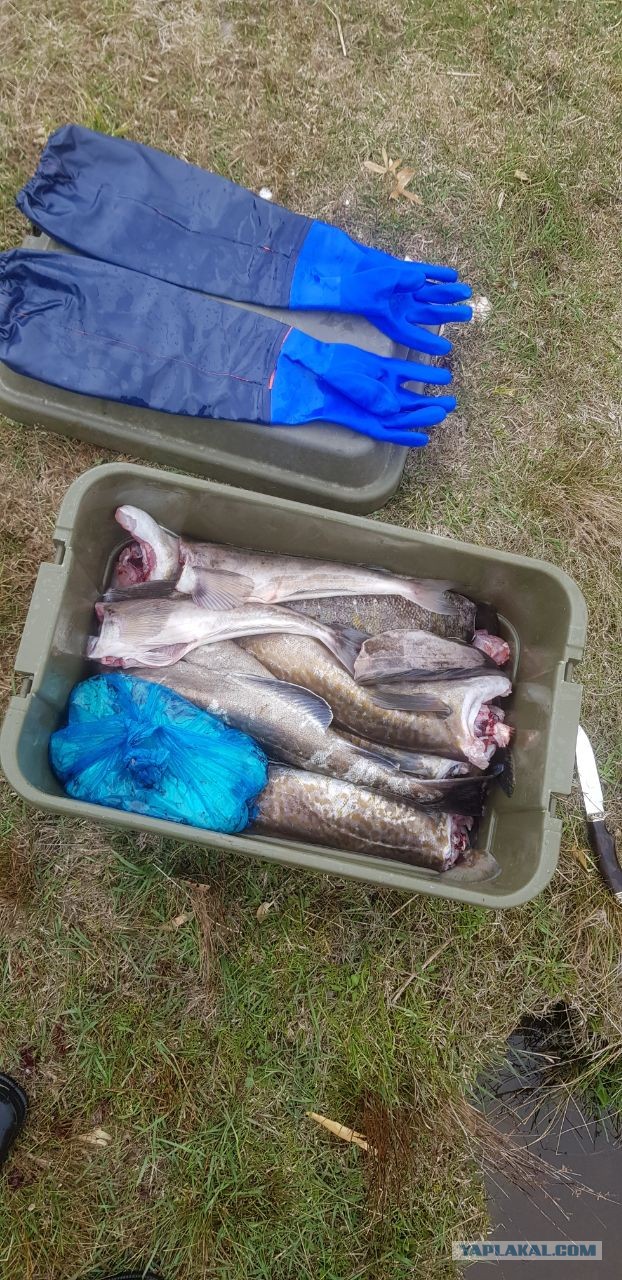 Кунашир. Море. Рыбалка