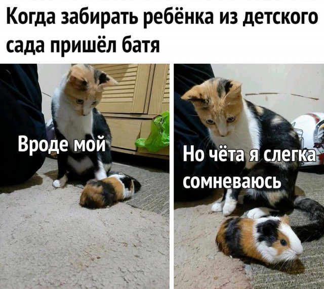 Картинки с надписями 28.07.22