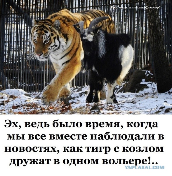 Сегодня 8 октября прошло ровно 4 года, как Пашка и Сашка отходили стулом чиновника Минпромторга Пака в Кофемании