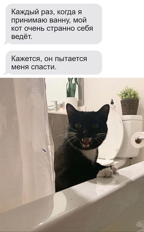 Картинки и мемы, всем хороших выходных