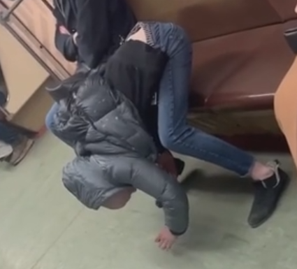 Наконец-то наступила весенняя погода, из гнезд начали выползать первые птицы