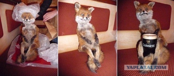 Ну что, кто доехал таки до упоротого лиса? :)