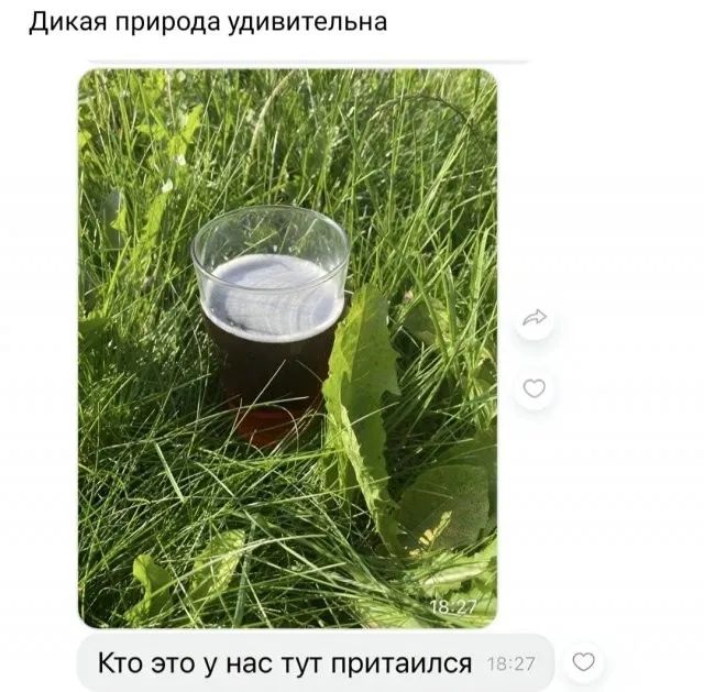 Прикольные и просто красивые картинки 19.09.2023