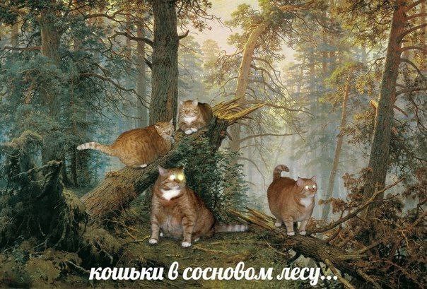Картинок пост 1.11.2023