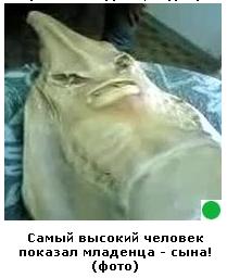 Автодемотиватор на ЯПе