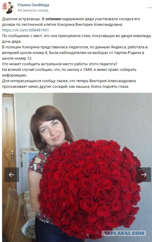 В Астрахани зоозащитники схватили пенсионера за грудки и обвинили в травле собак