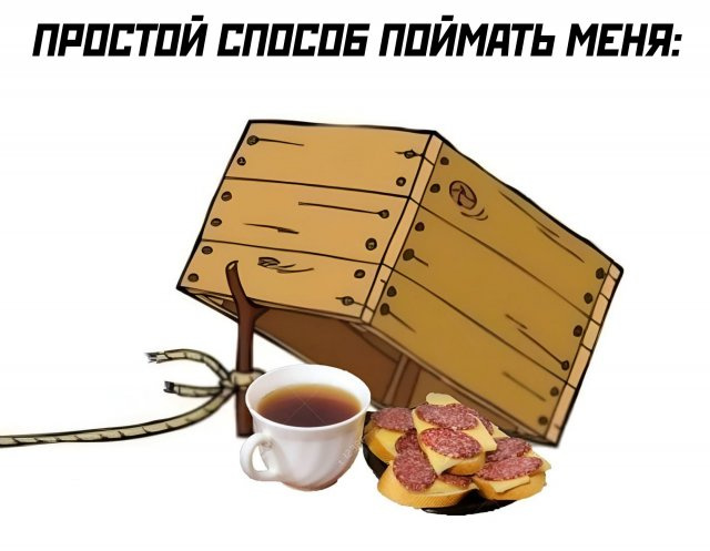 Боянчики на пятницу
