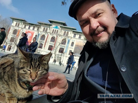 Хроники странствующего кота
