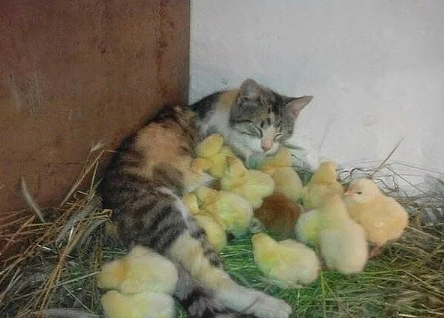 Ага, да, выпусти, выпусти