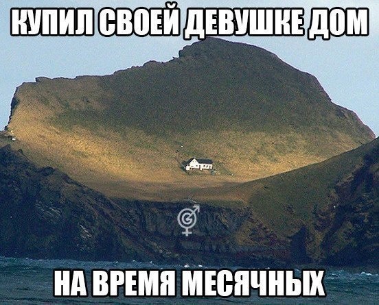 Всего понемногу. От 31.07