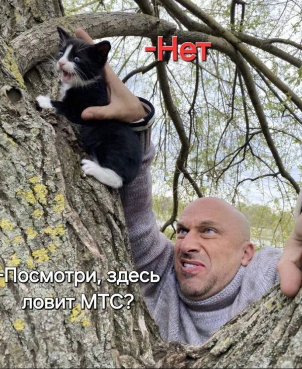 Ура! Дождались! Понедельник!