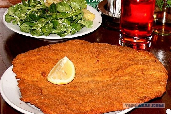 Просто постучать молоточком - это слишком сложно?
