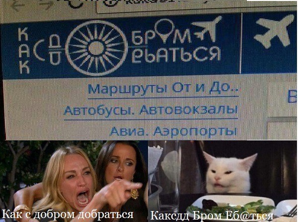 Знаменитый кот