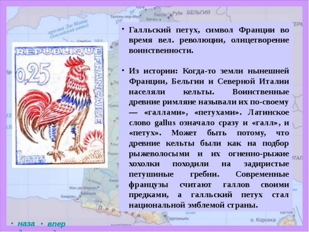 «Безмозглый галльский петух никак не успокоится с идеей отправки войск на «Украину»