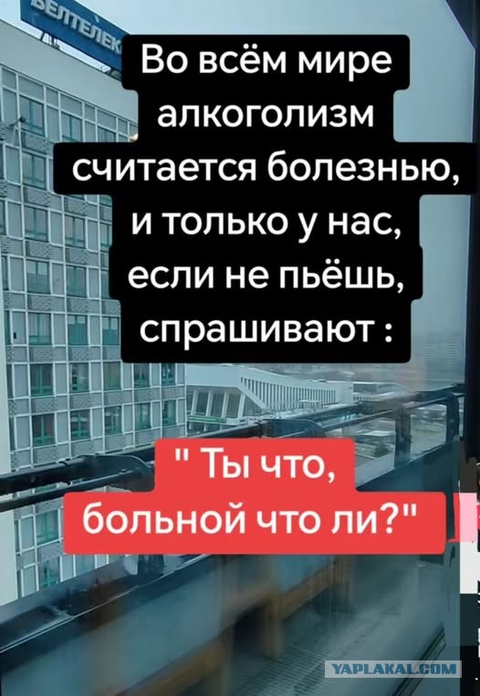 Так себе картинки 13.12.25