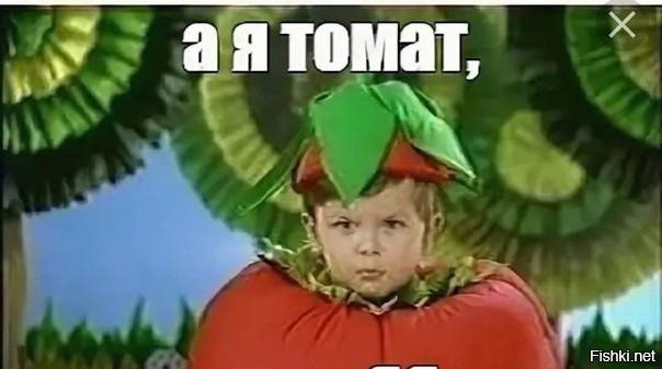 Наверное, Боги сошли с ума