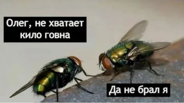 Оперный вариант