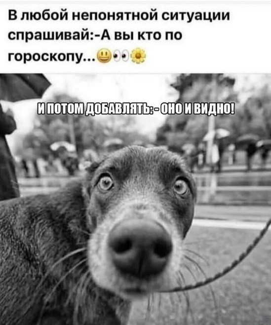 Потная гамсахурдия №6 (Картинки)