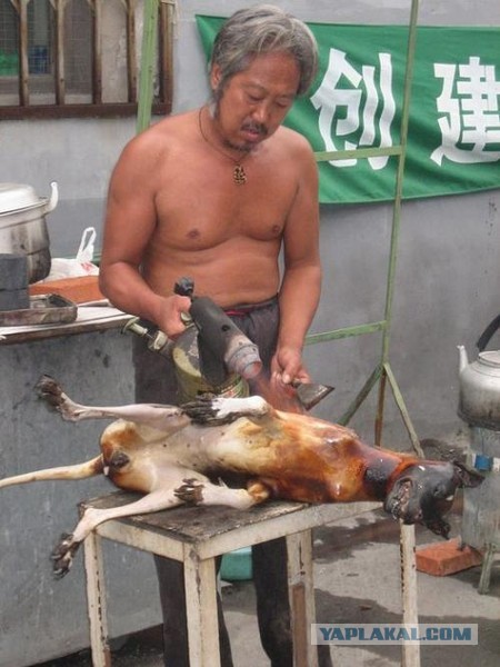 Жрите мясо!