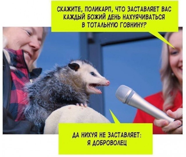 *БАЯН*Банан доброты
