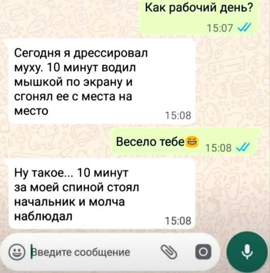 Пятничные бояны