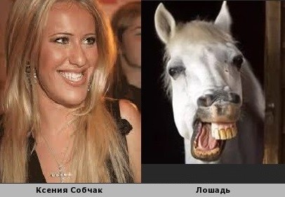 Лошадки