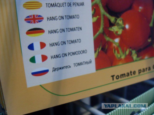 Русский и не русский