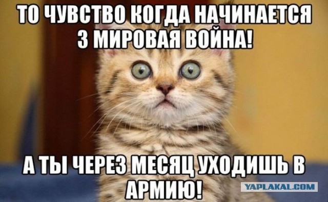Митинг 10 марта, 14:00, м. Пушкинская