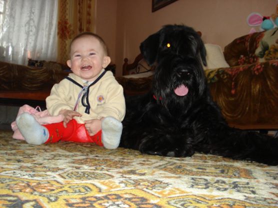 Собакочетверг