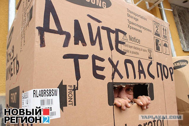 Вещи, которые вы не можете делать, если вы не кот