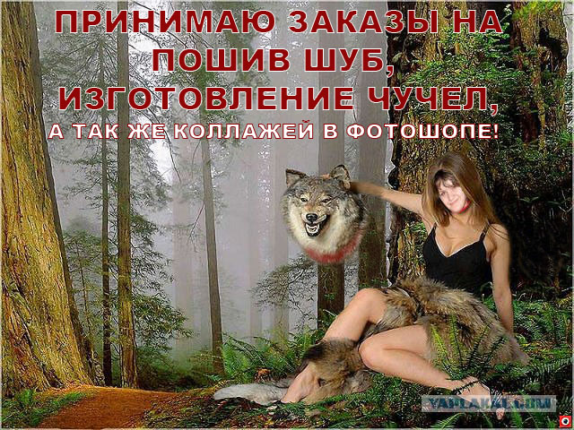 Дикие фото из социальных сетей