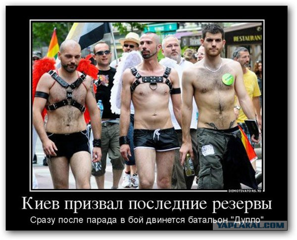 Каратели батальона «Донбасса» впали в истерику.
