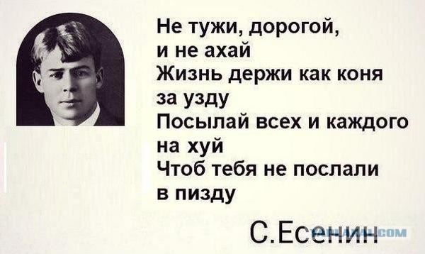 Лучший друг!