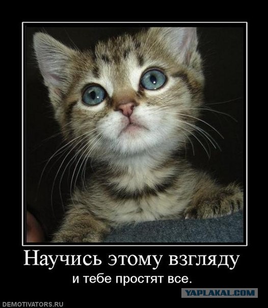 Немного картинок и юмора