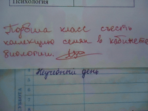 Весёлые картинки