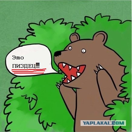 Граждане, не выгуливайте медведей на ж/д путях!