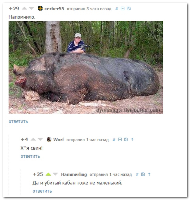Ужасы и приколы из соцсетей 18+