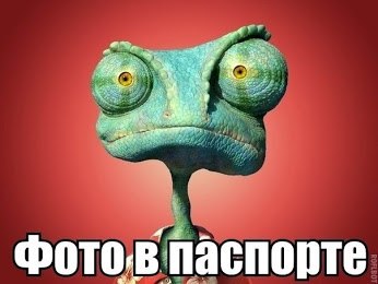 Веселые картинки