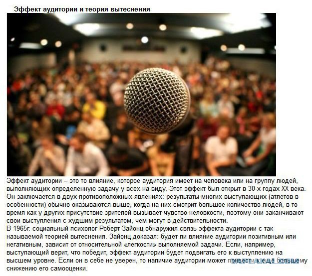 20 фактов обо всем