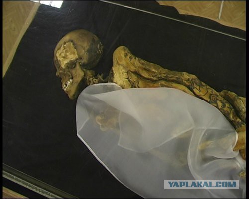 Находки археологов в Сибири
