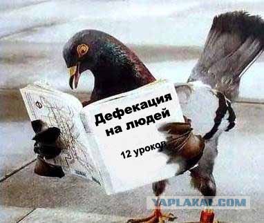 "Вот она пришла весна, как паранойя!"(с) :)