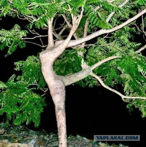 Время для отдыха