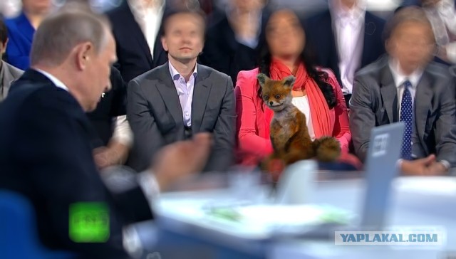 Значит Путин настоящий...