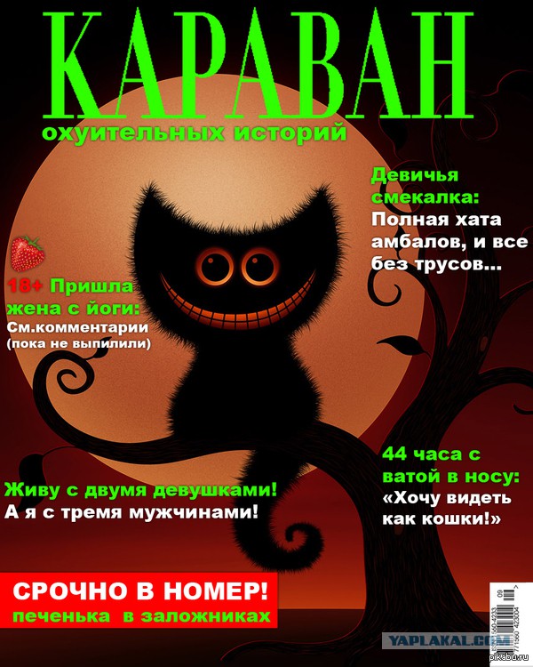Нашёл свою. Единственную!