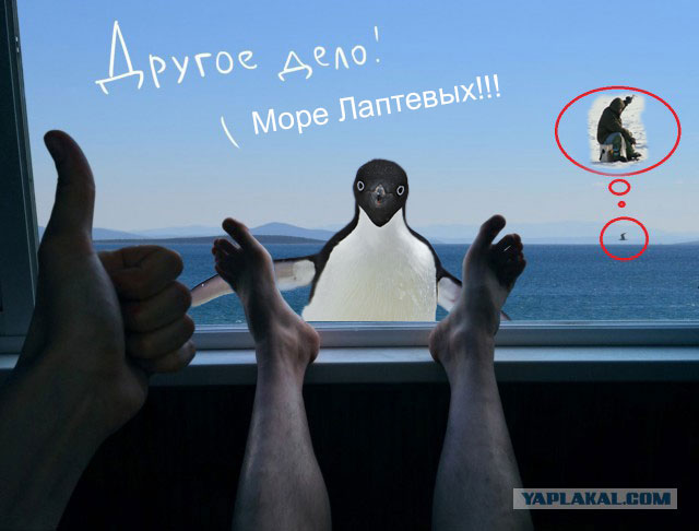 Включить море