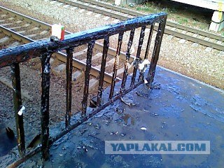 Прогулка по Москве, экстренный выпуск