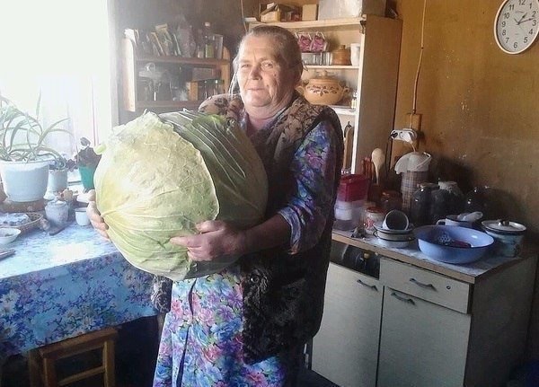 Когда кто-то плюсует твой заминусованый пост